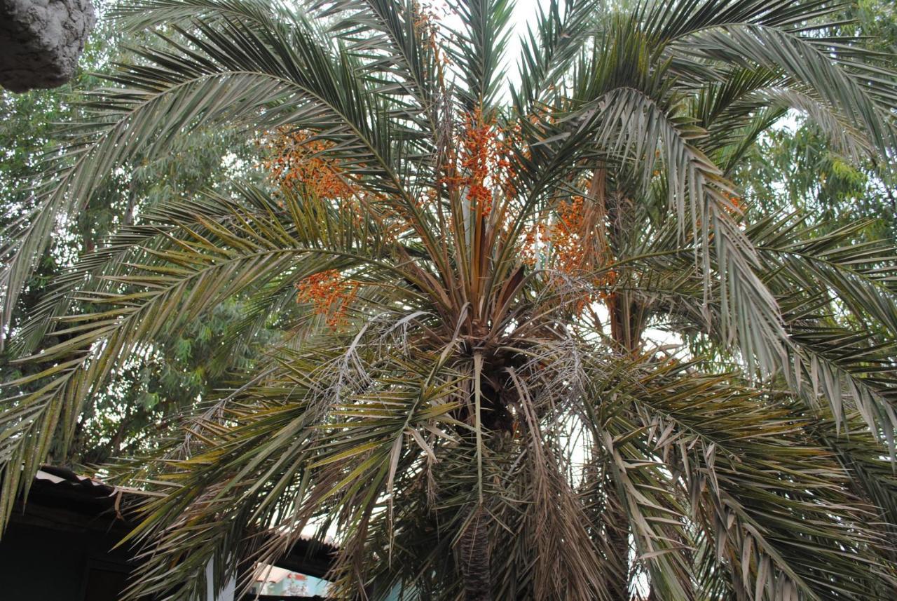 Rainbow Beach Resort Sanyang Екстер'єр фото